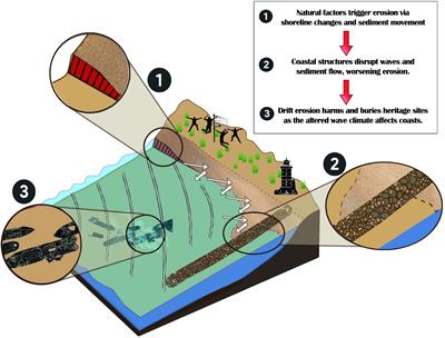 Editorial: Coastal environment in a changing world